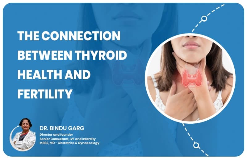 The Connection Between Thyroid Health and Fertility